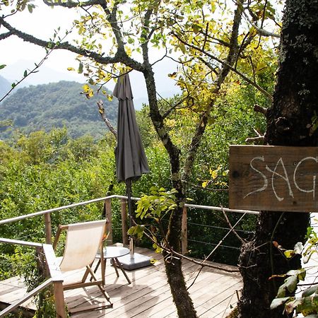 Hoopoe Glamping Hotel เวียร์ปาซาร์ ภายนอก รูปภาพ