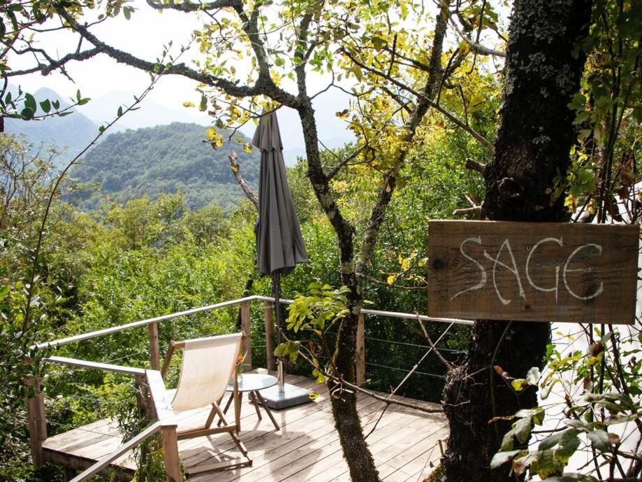 Hoopoe Glamping Hotel เวียร์ปาซาร์ ภายนอก รูปภาพ