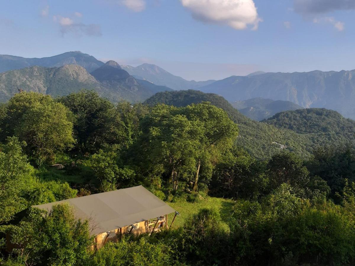 Hoopoe Glamping Hotel เวียร์ปาซาร์ ภายนอก รูปภาพ