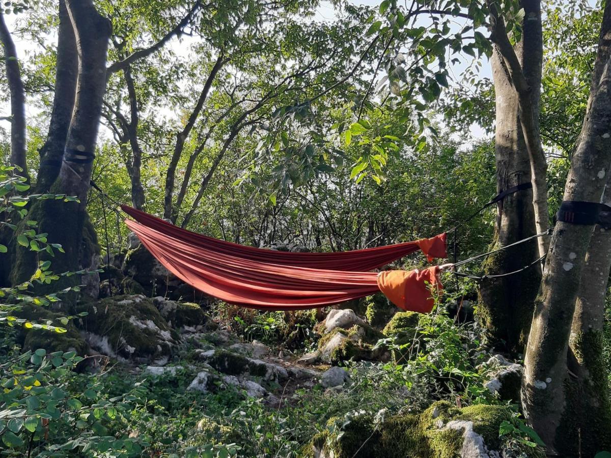 Hoopoe Glamping Hotel เวียร์ปาซาร์ ภายนอก รูปภาพ